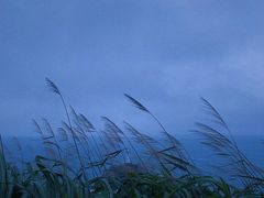 -东极岛景区