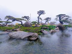 -罗红摄影艺术馆