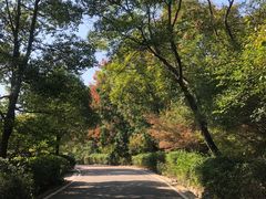-南京市江宁方山