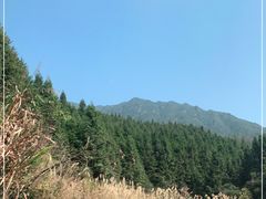 -金子山原生态旅游风景区
