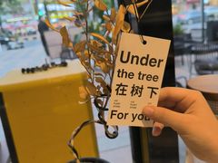 -希屿·Xislands融合餐厅
