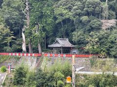 -岚山嵯峨野观光小火车