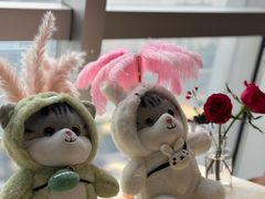 -桃花江餐厅·江景-约会·聚会