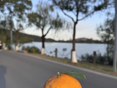 -南北湖风景区
