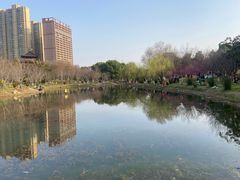 -堤角公园