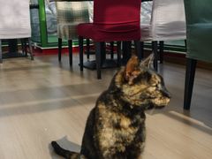 -EATALIA意塔利意式餐厅(鼓楼店)