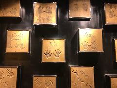 -德云社(三里屯店)