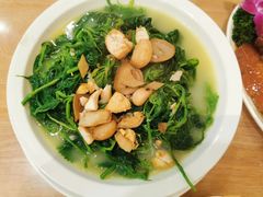 -香港深井掂檔烧鹅茶餐厅(海韵城店)