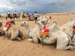 -银肯塔拉沙漠生态旅游景区