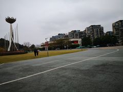 -飞凤山奥体公园