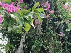 -铭轩中餐厅·海南菜·粤菜(亚龙湾瑞吉店)