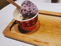 -哈根达斯(陆家浜路店)