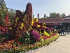 -丰台花园