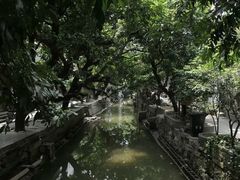 -小洲村