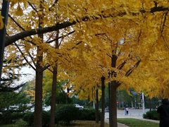 -杨老大焙子月饼干货(宽巷子民族美食街店)