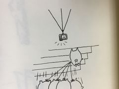 -中国海洋大学（崂山校区）-图书馆