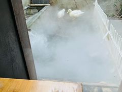 -阿姨食堂