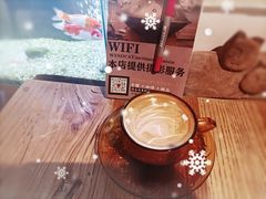 -No Cat 手碟