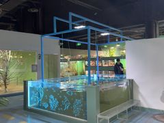 -上海大自然野生昆虫馆(东方明珠·爬宠昆虫探索中心)