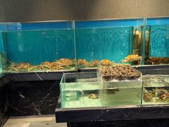 -许家菜.艺创菜(仁和新城店)