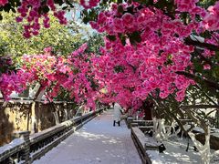 -烟台山景区