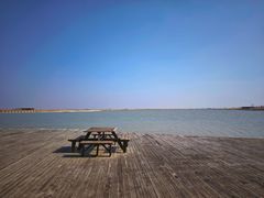 -盐城丹顶鹤湿地生态旅游区