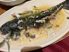 -园林美食城·本土农家菜(杨和镇店)