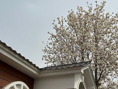 -静之湖度假区