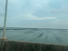 -东海岛旅游度假区