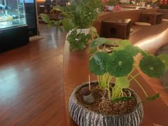 -游You House(西单老佛爷店)