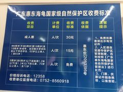-广东惠东海龟国家级自然保护区