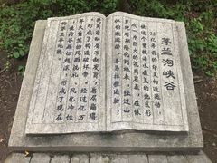 -茅兰沟国家森林公园