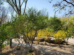 -大兴滨河森林公园