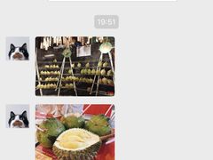 -都念榴莲·城市榴莲