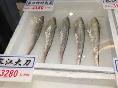 刀鱼-莆鑫海鲜城(浏河店)