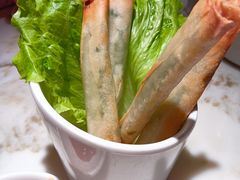 -佬肥猫(国华广场店)