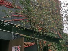 -成都许燎源现代设计艺术博物馆