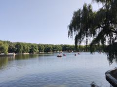 -北陵公园