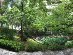 -香港大学