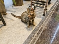 -袁妈红豆汤(重庆总店)