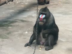 -鄂尔多斯野生动物园