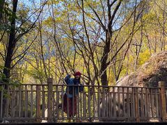 -云岫谷游猎自然风景区