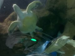 -大连圣亚海洋世界