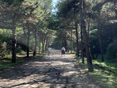 -藏山旅游风景区