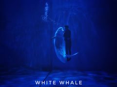 -多彩贵州城极地海洋世界