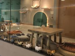 -飞行喵MR PILOT|猫舍·猫咖(静安大融城店)