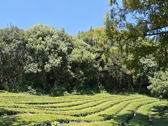 -敬亭山风景名胜区