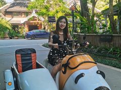 -西双版纳勐泐文化旅游区