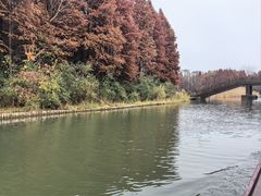 -溱湖国家湿地公园