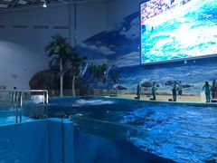 -福州罗源湾海洋世界旅游区